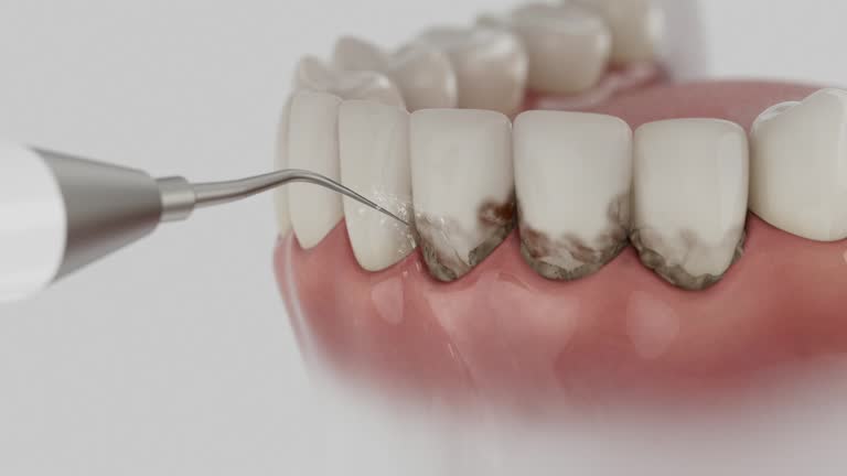 Reliable Dental contractor in Tinley Park, IL by Dentist Open Now
